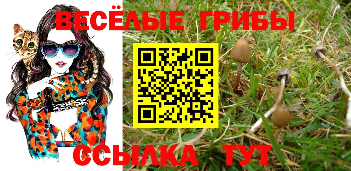 Псилоцибиновые грибы Psilocybine cubensis  Псилоцибиновые грибы Psilocybine cubensis  Серов  Вход с VPN 