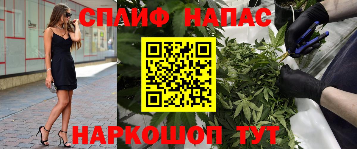 Бошки Шишки VHQ Серов